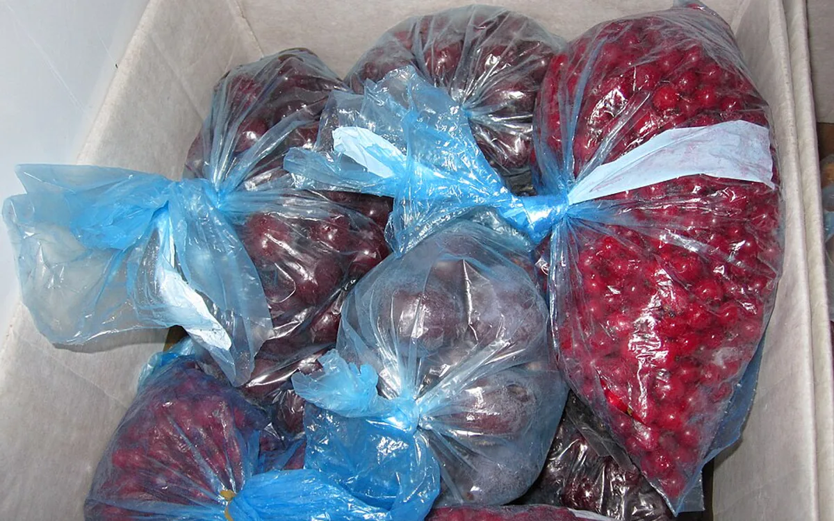 Tanda Freeze Dried Menyerap Lembap dan Kapan Harus Dibuang