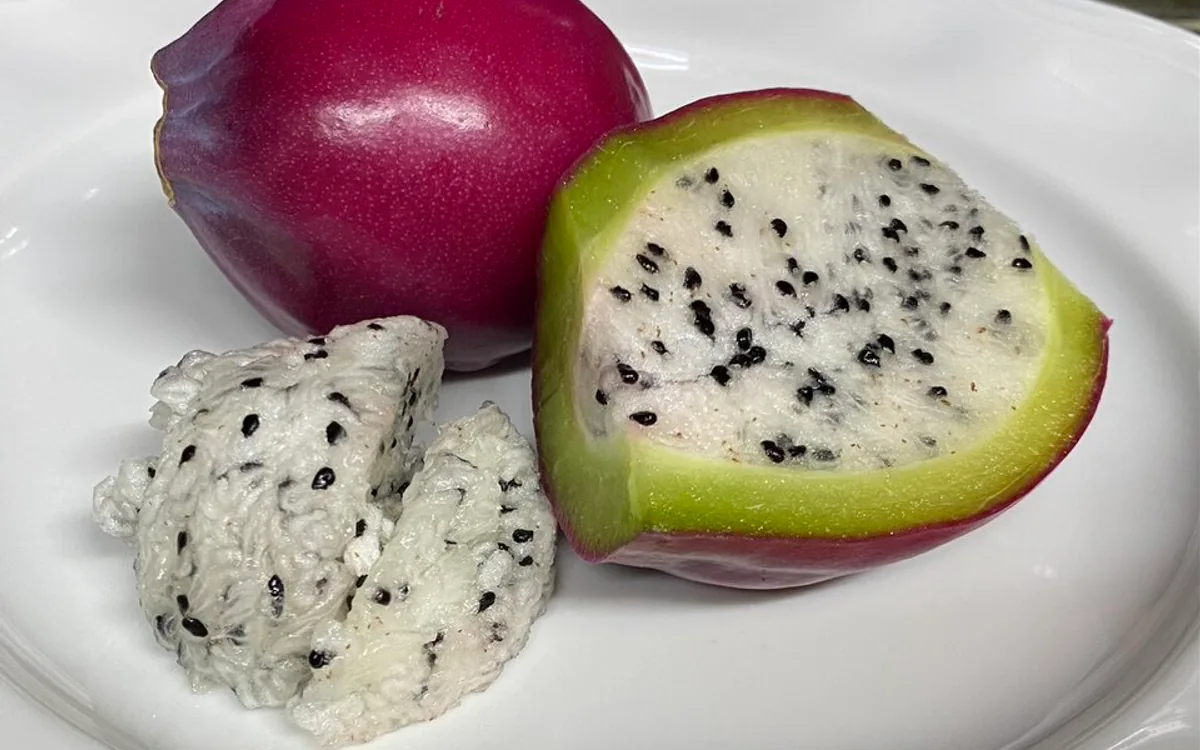 Buah Tropis Indonesia yang Cocok Diolah dengan Freeze Drying
