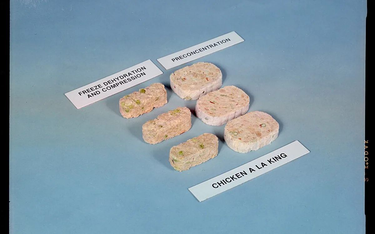 Freeze Dried untuk R&D Produk: Menjaga Aroma, Warna, dan Struktur
