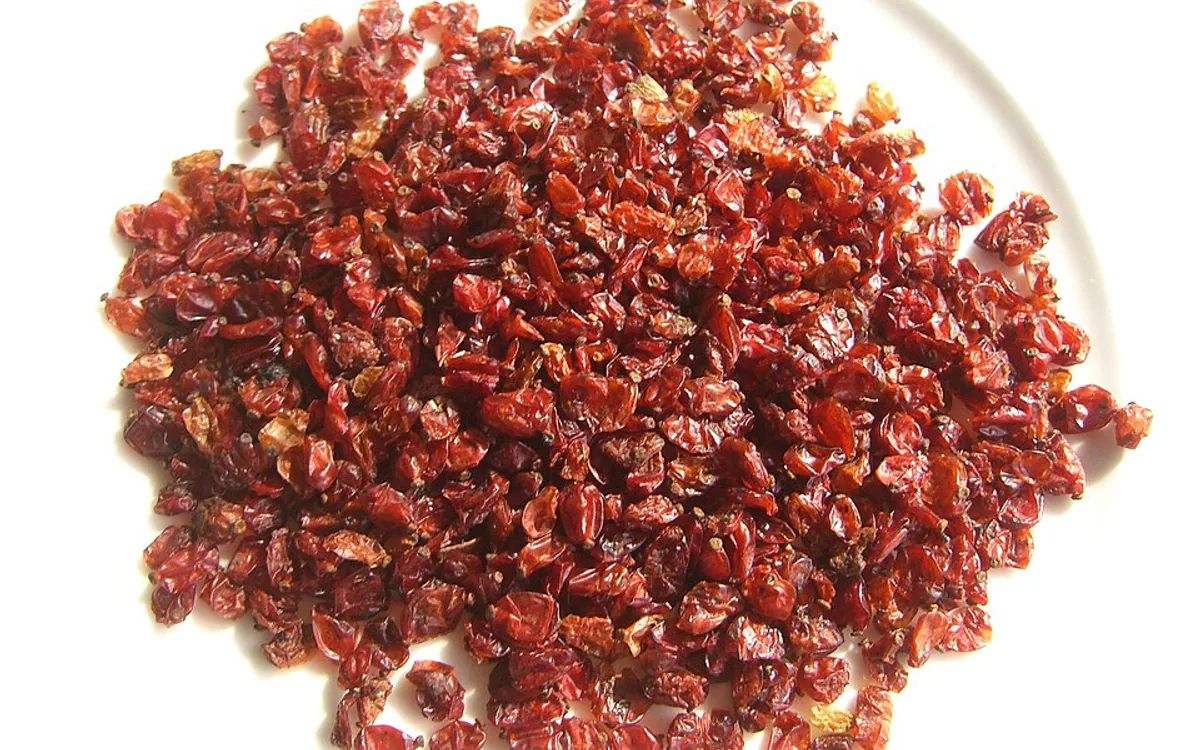 Freeze Dried atau Kering Biasa? Panduan Memilih Berdasarkan Anggaran