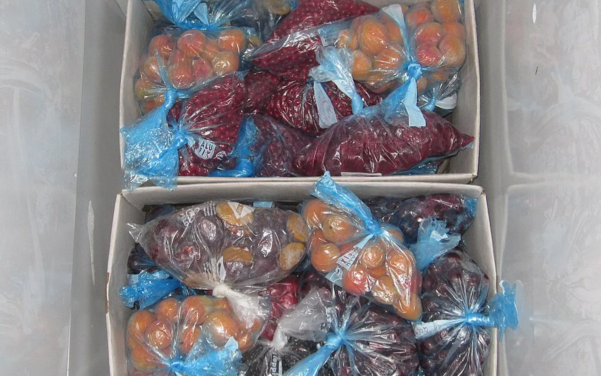 Freeze Drying untuk Rantai Pasok: Kapan Biaya Proses Masuk Akal?