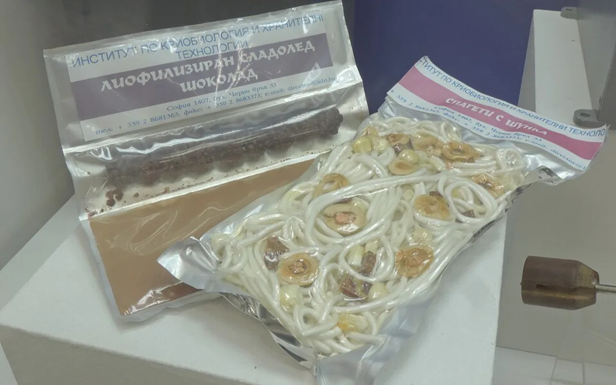 Alur Produksi Freeze Dried: Dari Sortasi hingga Seal